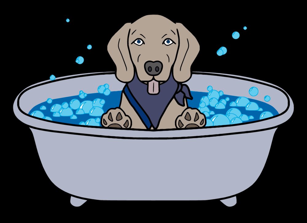 DUNK’N DOGS MOBILE PET GROOMING Updated October 2024 Raleigh, North