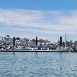 Ballena Bay - Kayaking at Ballena Bay - this is our view