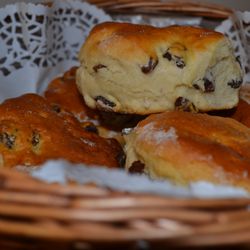 Al's Bakery - Full range of scones plain, fruit, cherry, brown