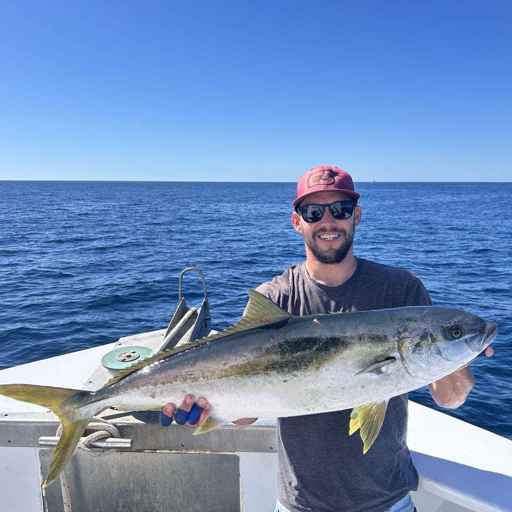 dobyns champion extreme 742 spinning rod Rods- HP Series outdoorsy Champion XP Series rods His family has harvested RPZ Size:3/0