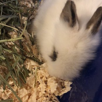Lucky Pets - Pet Stores Near Me - Pico Rivera, California