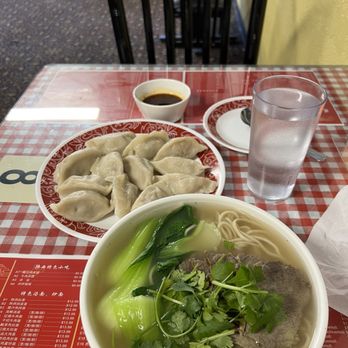 Number 1 Noodle - a bowl of soup and a plate of dumplings - Chinese Near Me - Saskatoon, Saskatchewan Number 1 Noodle - a bowl of soup and a plate of dumplings - Chinese Near Me - Saskatoon, Saskatchewan