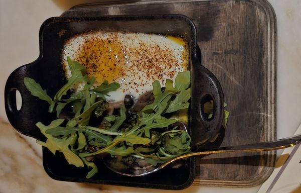 OvenBird by null OvenBird by null