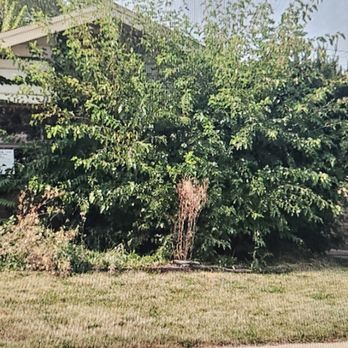 A Quality Board-Up & Emergency Services - After picture - Damage Restoration Near Me - Chicago, Illinois A Quality Board-Up & Emergency Services - After picture - Damage Restoration Near Me - Chicago, Illinois