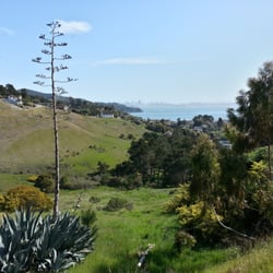 Fishbits' Trail