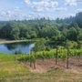 Photo of Kuenzi Family Vineyard