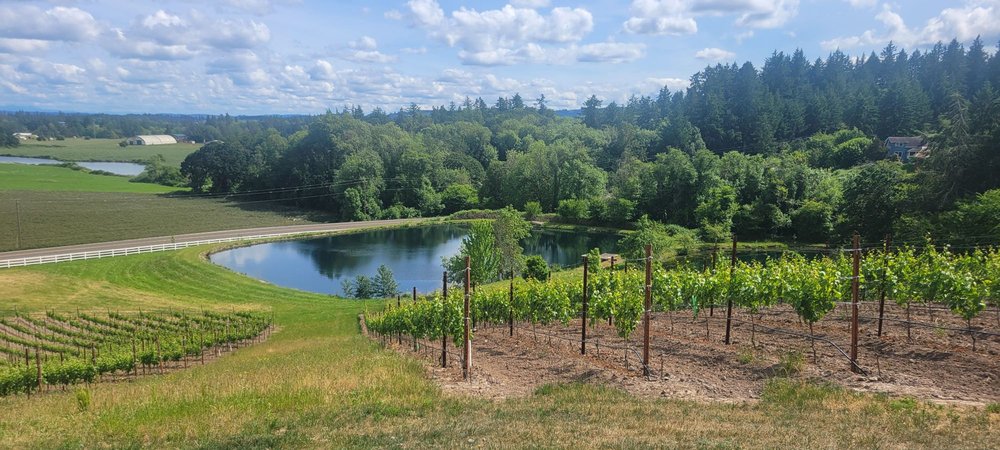 Kuenzi Family Vineyard - vineyard in Salem, OR