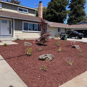 Willow Landscaping - Landscaping Near Me Willow Landscaping - Landscaping Near Me