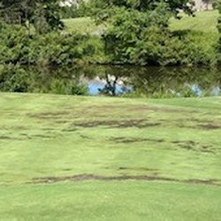 Carolina Lakes Golf Club - Full green view