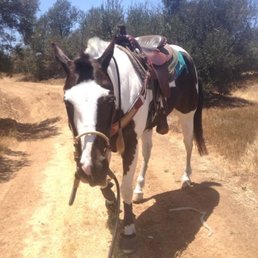 My beautiful baby before he got hurt My beautiful baby before he got hurt