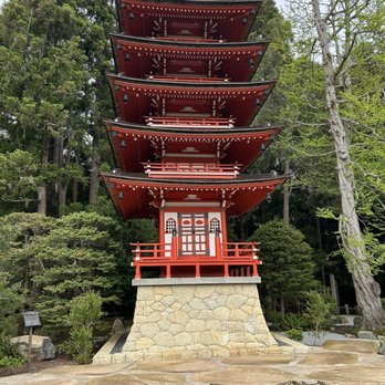 Japanese Tea Garden - Tea Rooms Near Me - San Francisco, California