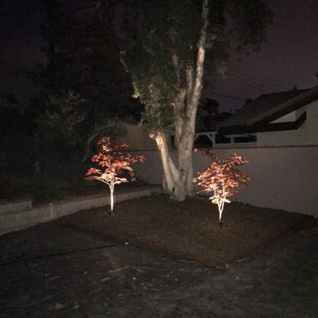 Xeristyle Exterior Design - Up lighting - Landscaping Near Me Xeristyle Exterior Design - Up lighting - Landscaping Near Me