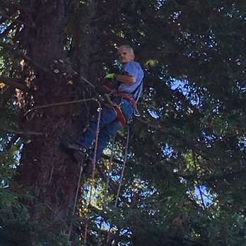 Hess Tree Services - Tree Services Near Me - Eureka, California Hess Tree Services - Tree Services Near Me - Eureka, California
