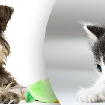 Norwin Veterinary Hospital - Veterinarians Near Me - Huntington, Pennsylvania Norwin Veterinary Hospital - Veterinarians Near Me - Huntington, Pennsylvania
