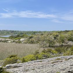 Norman Bird Sanctuary - View from the top