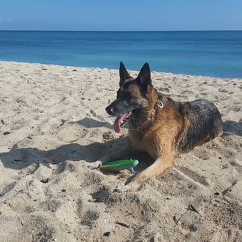 Ewa Beach Park - Chilling at the beach. - Parks Near Me - Ewa Beach, Hawaii
