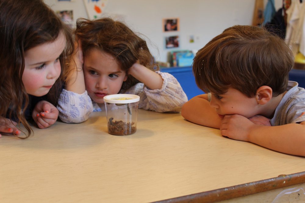 Putnam Indian Field School - childcare center in Greenwich, CT