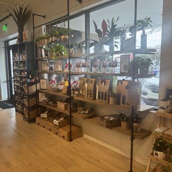 The Good Pour - Aesthetic - Beer, Wine & Spirits Near Me - Winter Park, Florida