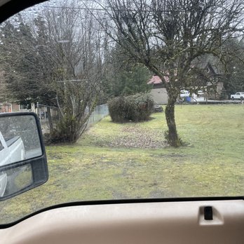 Stealth Landscaping - Removing tree and leveling out area! - Landscaping Near Me - Black Diamond, Washington