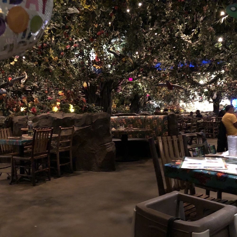 Rainforest Cafe - Interior - American Near Me - Katy, Texas Rainforest Cafe - Interior - American Near Me - Katy, Texas