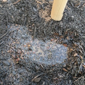 Pristine Landscaping and Lighting. - Landscaping Near Me