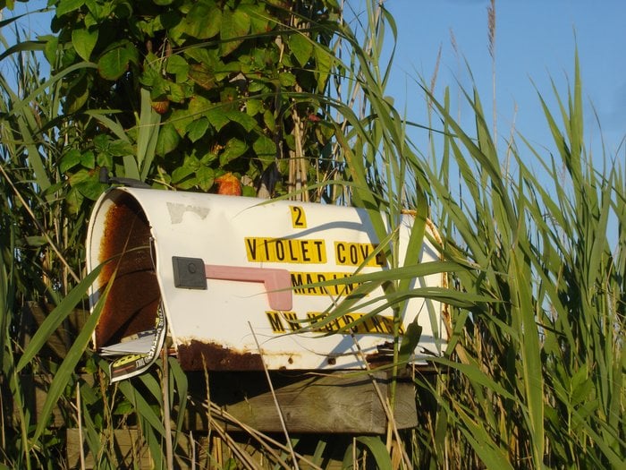 VIOLET COVE RESTAURANT & MARINA CLOSED 2 Violet Rd, Mastic Beach