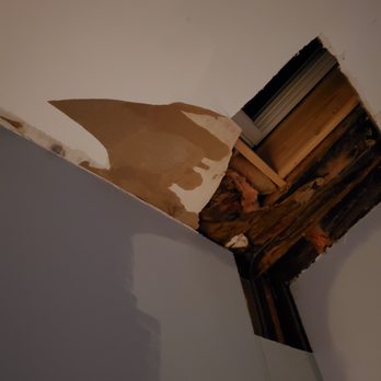 RealManage Lisle - Just a few pics of the mold and falling drywall that ACM has done nothing to address in over three years. - Homeowner Association Near Me - Lisle, Illinois RealManage Lisle - Just a few pics of the mold and falling drywall that ACM has done nothing to address in over three years. - Homeowner Association Near Me - Lisle, Illinois