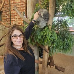 Calmsley Hill City Farm - Koala