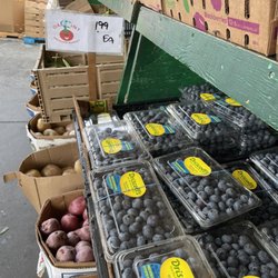 Blueberries!