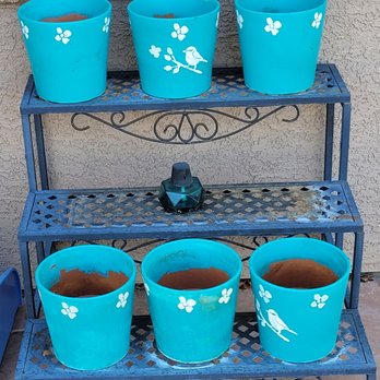 Desert Survivors - Donated pots and plant stand. - Nurseries & Gardening Near Me - Tucson, Arizona Desert Survivors - Donated pots and plant stand. - Nurseries & Gardening Near Me - Tucson, Arizona