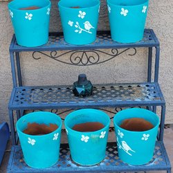 Desert Survivors - Donated pots and plant stand.
