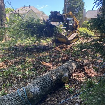 Rico Tree Service - Tree Services Near Me