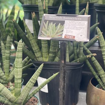Abide A While Garden Boutique - Nurseries & Gardening Near Me - Mount Pleasant, South Carolina