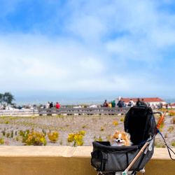 Presidio Tunnel Tops - 14 acre oasis w/ waterfront views of the bridge +  alcatraz. Don't forget to pay for parking + print a receipt for your dash!