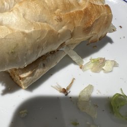 Which Wich - A fly in the sandwich.