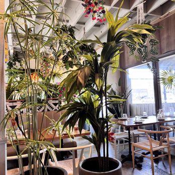 Flama Llama - Interior - Latin American Near Me - San Diego, California Flama Llama - Interior - Latin American Near Me - San Diego, California