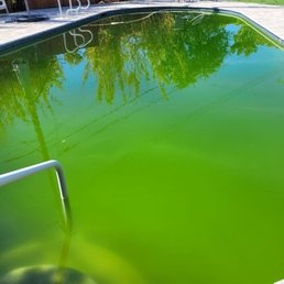 Here's how he left our pool, didn't show up for at least three weeks straight without notification. Here's how he left our pool, didn't show up for at least three weeks straight without notification.