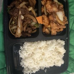 Lunch Bento Boxes
