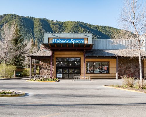 Hoback Sports by null