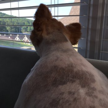 Bridgemill Pets - Pet Stores Near Me - Canton, Georgia