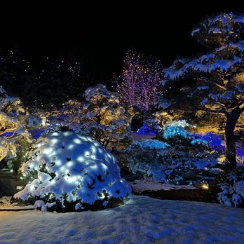 Blossoms of Light - Botanical Gardens Near Me - Denver, Colorado