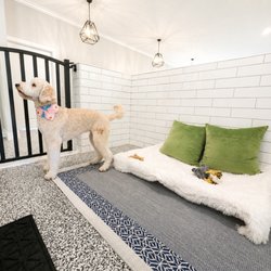 Noble Nose Canine Boarding