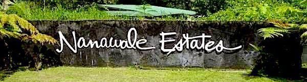 Nanawale Community Assn - social services organization in Pāhoa, HI