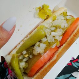Chicago Dog
