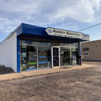 Acosta's Aquariums - Acosta's Aquariums in Hobbs, NM. Storefront view on 8/17/2023. - Pet Stores Near Me - Hobbs, New Mexico Acosta's Aquariums - Acosta's Aquariums in Hobbs, NM. Storefront view on 8/17/2023. - Pet Stores Near Me - Hobbs, New Mexico