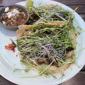 peasants FEAST - Mushroom tacos - American Near Me - Solvang, California