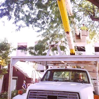 Buck's Tree Service - Tree Services Near Me - Hanna City, Illinois
