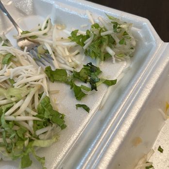 Pho 919 Restaurant - Spoiled lettuce and all bean sprouts in summer rolls - Vietnamese Near Me - Morrisville, North Carolina Pho 919 Restaurant - Spoiled lettuce and all bean sprouts in summer rolls - Vietnamese Near Me - Morrisville, North Carolina