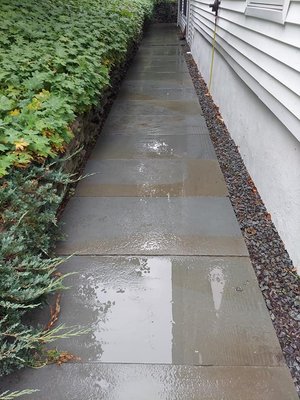 Pressure Washing - Every home deserves to its very best on the outside, and our team at Dudock's Property Solutions is here to help make that happen. We offer soft washing and pressure washing services to businesses and home owners in Tunkhannock, Pa and surrounding areas. From removing algae, dirt, and mold from your siding to using our soft wash solution to kill moss and lichens on your roof. We also offer deck, patio, concrete, and other services as well. You can count on us to get your homes exterior looking like new again! Pressure Washing - Every home deserves to its very best on the outside, and our team at Dudock's Property Solutions is here to help make that happen. We offer soft washing and pressure washing services to businesses and home owners in Tunkhannock, Pa and surrounding areas. From removing algae, dirt, and mold from your siding to using our soft wash solution to kill moss and lichens on your roof. We also offer deck, patio, concrete, and other services as well. You can count on us to get your homes exterior looking like new again!