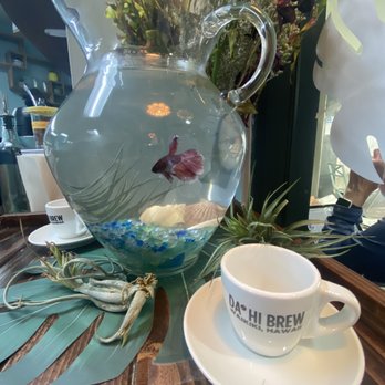 Da' HI Brew - Coffee & Tea Near Me - Honolulu, Hawaii Da' HI Brew - Coffee & Tea Near Me - Honolulu, Hawaii